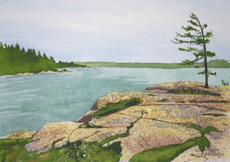 C6 - Killbear Park, looking toward Lighthouse Point - Pamela Fielding