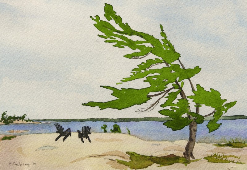 C5 - Killbear Park - Windswept pine, Kilcoursie Bay - Pamela Fielding