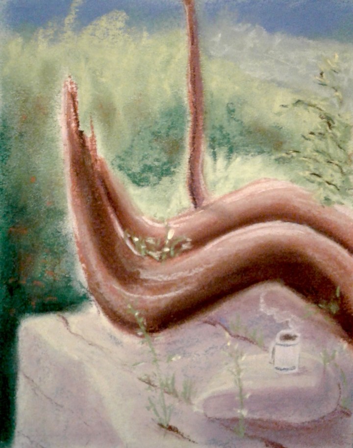 Coffee on the Bruce Trail