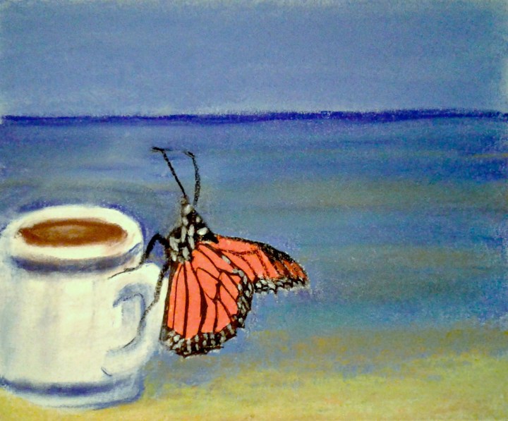 Monarch butterfly Pinery Park